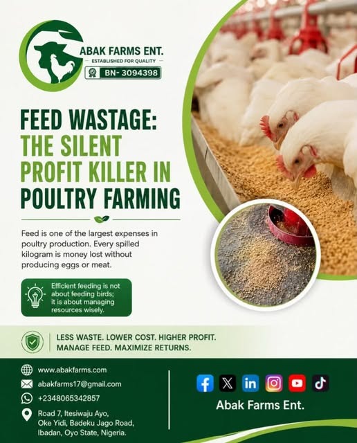 FEED WASTAGE: THE SILENT PROFIT KILLER IN POULTRY FARMING